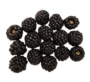 moras frescas